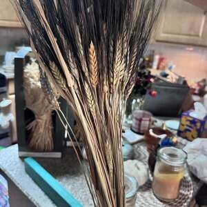 Dried Black Bearded Wheat